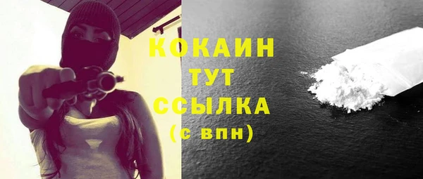 дмт Лагань