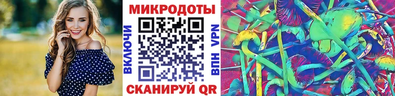 Псилоцибиновые грибы мухоморы  маркетплейс официальный сайт  Котовск  хочу наркоту 