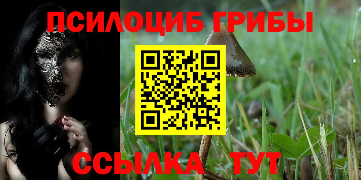 Псилоцибиновые грибы MAGIC MUSHROOMS Котовск