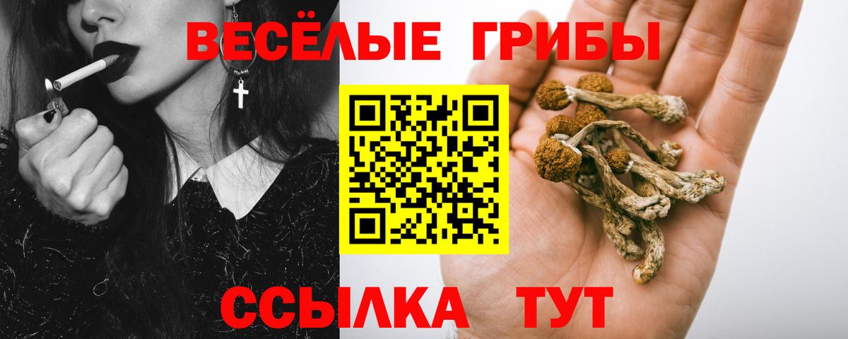 Галлюциногенные грибы прущие грибы Котовск